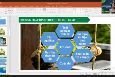 Tập huấn triển khai nội dung thích ứng với BĐKH và BVMT tại các cơ sở GDMN